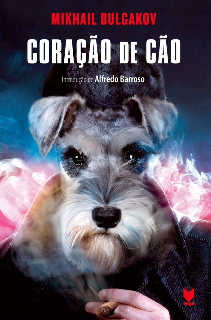 Coração de Cão